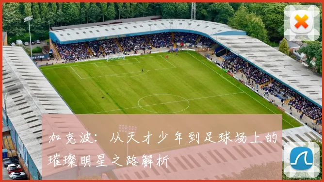 加克波：从天才少年到足球场上的璀璨明星之路解析