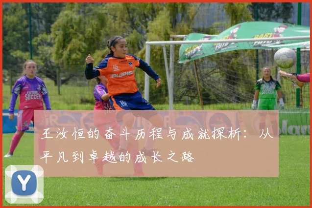 王汝恒的奋斗历程与成就探析：从平凡到卓越的成长之路