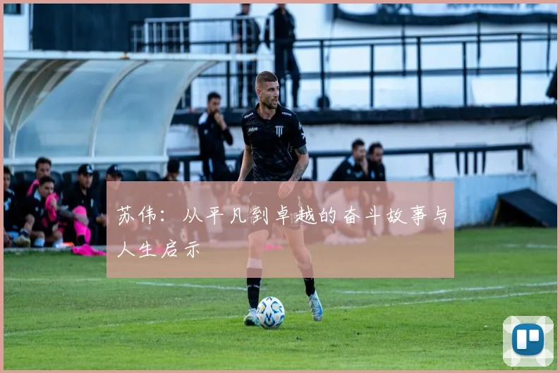 苏伟：从平凡到卓越的奋斗故事与人生启示