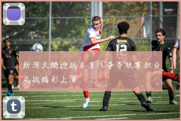 新泻天鹅迎战东京FC争夺联赛积分之战精彩上演