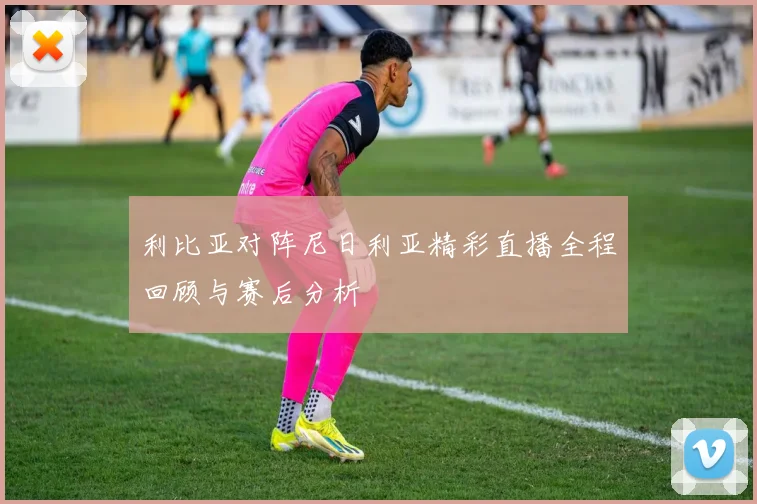 利比亚对阵尼日利亚精彩直播全程回顾与赛后分析