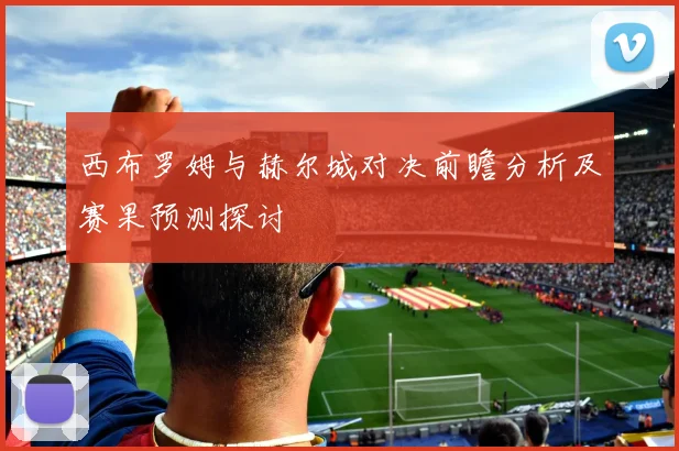 西布罗姆与赫尔城对决前瞻分析及赛果预测探讨