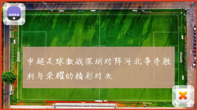 中超足球激战深圳对阵河北争夺胜利与荣耀的精彩对决
