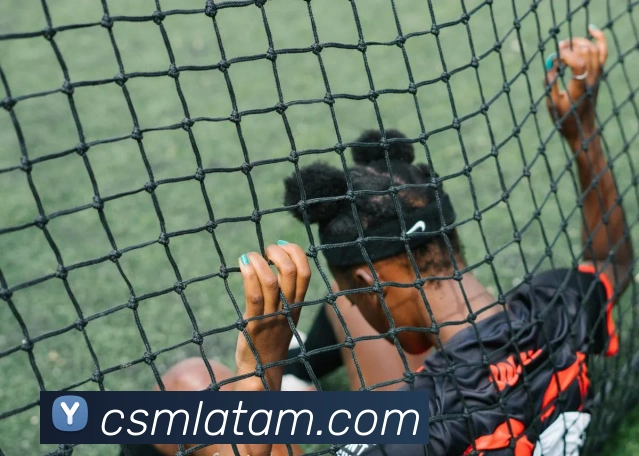 App Interface Preview