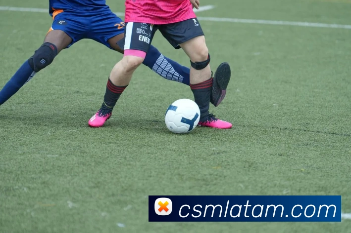 开云体育APP 封面图